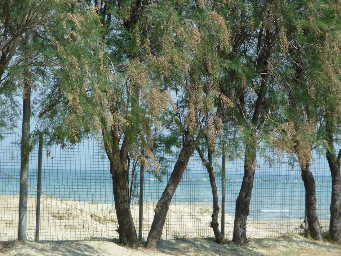 campeggio-surabaja-roseto-degli-abruzzi-hi0oq
