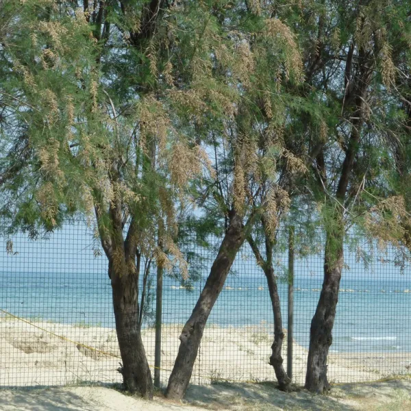 campeggio-surabaja-roseto-degli-abruzzi-hi0oq