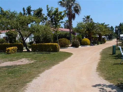 las-palmeras-costa-brava-sant-pere-pescador-1n8am