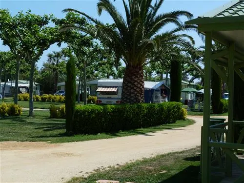 las-palmeras-costa-brava-sant-pere-pescador-6ertj