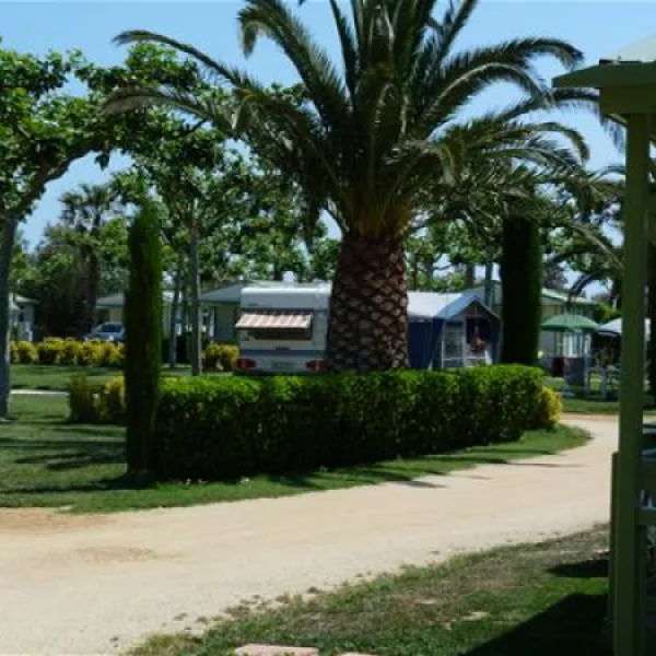 las-palmeras-costa-brava-sant-pere-pescador-6ertj