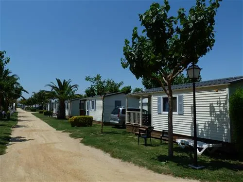 las-palmeras-costa-brava-sant-pere-pescador-ey8rp