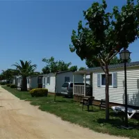 las-palmeras-costa-brava-sant-pere-pescador-ey8rp