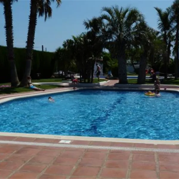 las-palmeras-costa-brava-sant-pere-pescador-grwzw