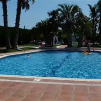 las-palmeras-costa-brava-sant-pere-pescador-grwzw