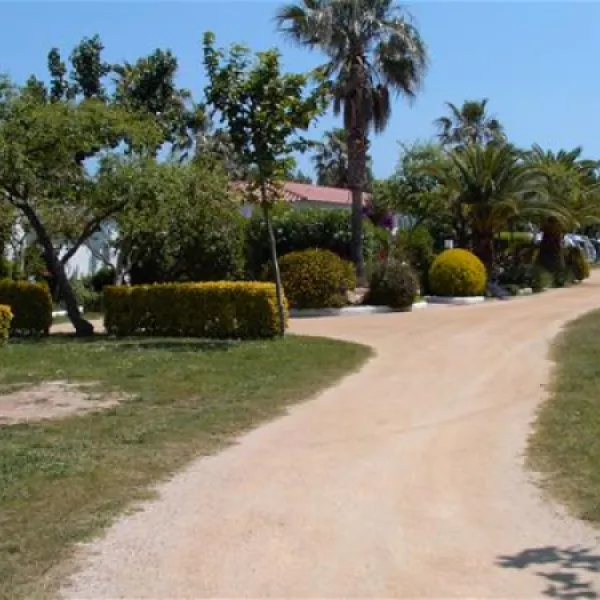 las-palmeras-costa-brava-sant-pere-pescador-kwe4h