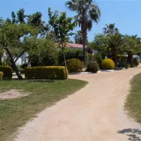 las-palmeras-costa-brava-sant-pere-pescador-kwe4h