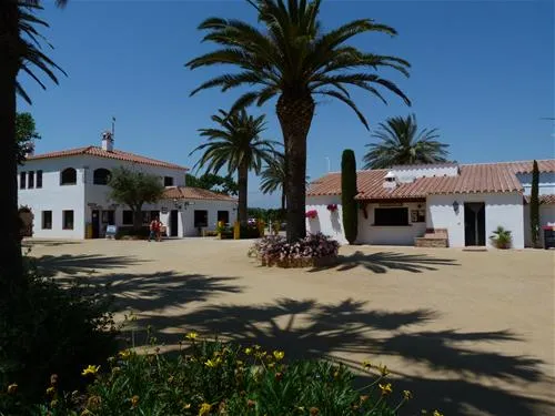 las-palmeras-costa-brava-sant-pere-pescador-lgals