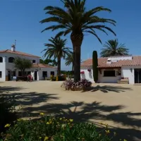las-palmeras-costa-brava-sant-pere-pescador-lgals