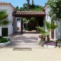 las-palmeras-costa-brava-sant-pere-pescador-teibd