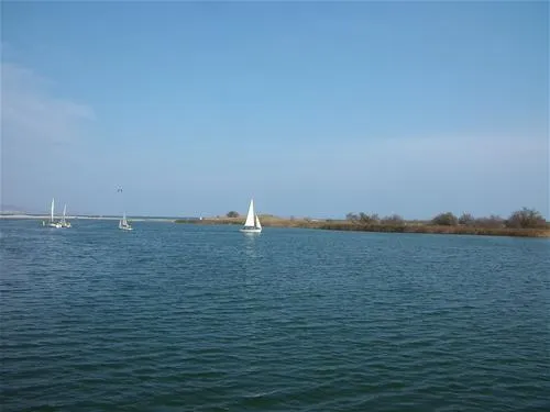 las-palmeras-costa-brava-sant-pere-pescador-tmr2s