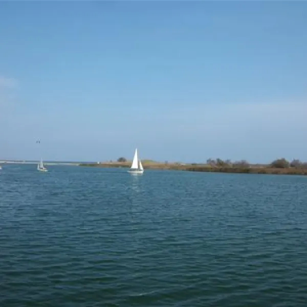 las-palmeras-costa-brava-sant-pere-pescador-tmr2s