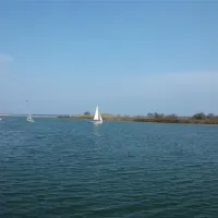 las-palmeras-costa-brava-sant-pere-pescador-tmr2s
