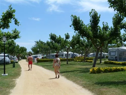 las-palmeras-costa-brava-sant-pere-pescador-w2xus