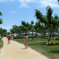 las-palmeras-costa-brava-sant-pere-pescador-w2xus