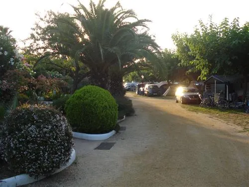 las-palmeras-costa-brava-sant-pere-pescador-xqwfh