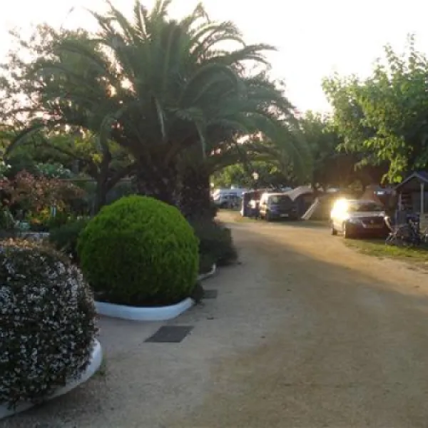 las-palmeras-costa-brava-sant-pere-pescador-xqwfh