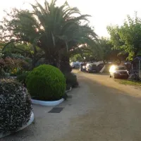 las-palmeras-costa-brava-sant-pere-pescador-xqwfh