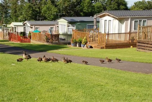 causey-hill-caravan-park-hexham-jyxpp