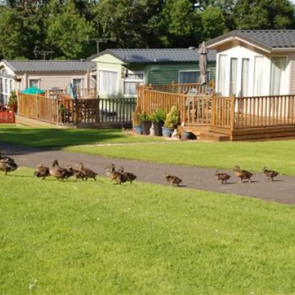 causey-hill-caravan-park-hexham-jyxpp