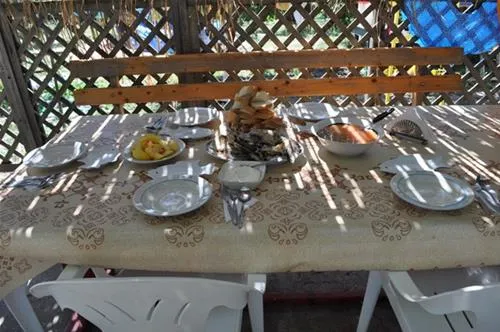 camping-murighioltwo-sturgeons-doi-sturioni-tulcea-murighiol-nyge4
