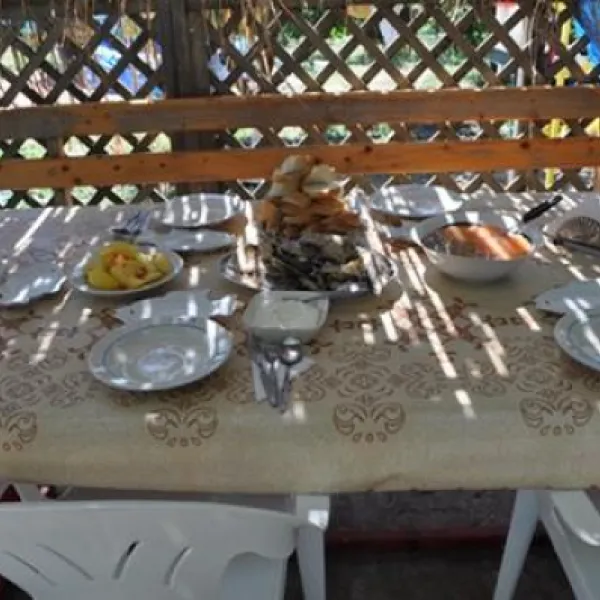 camping-murighioltwo-sturgeons-doi-sturioni-tulcea-murighiol-nyge4