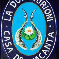 camping-murighioltwo-sturgeons-doi-sturioni-tulcea-murighiol-wemqf