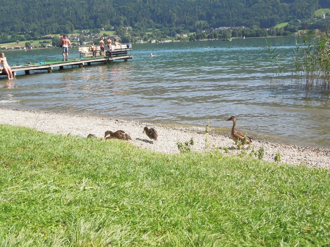 camping-morgenfurt-steindorf-a3ms9