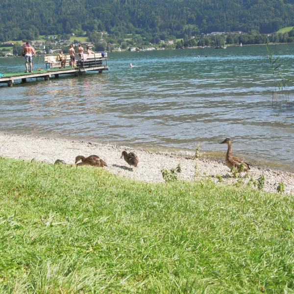 camping-morgenfurt-steindorf-a3ms9