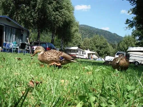 camping-morgenfurt-steindorf-gqoho