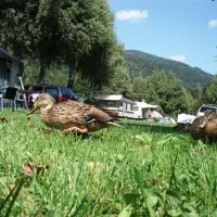 camping-morgenfurt-steindorf-gqoho