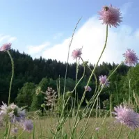 camping-morgenfurt-steindorf-lxdua
