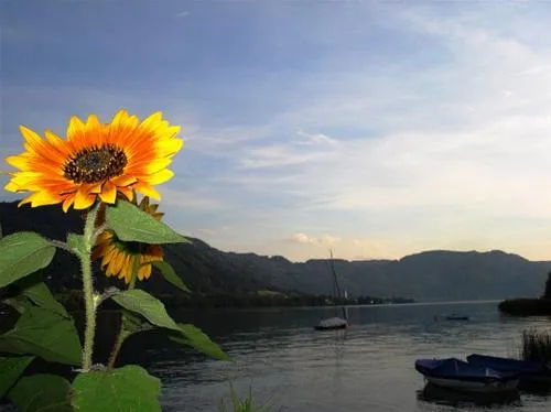 camping-morgenfurt-steindorf-mbwcd