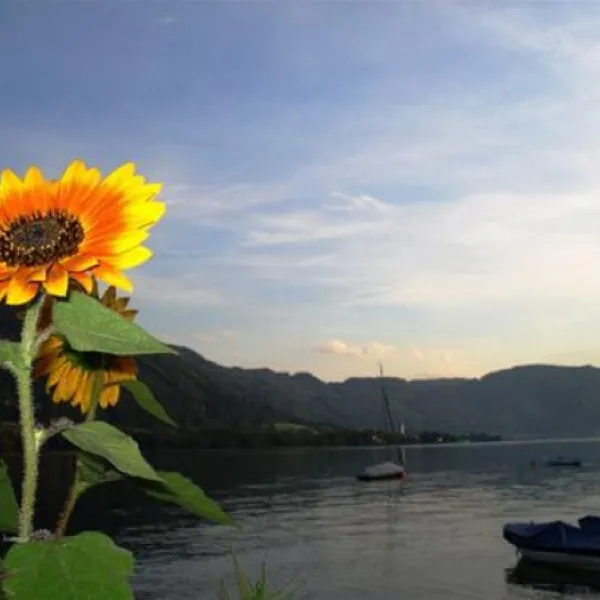 camping-morgenfurt-steindorf-mbwcd