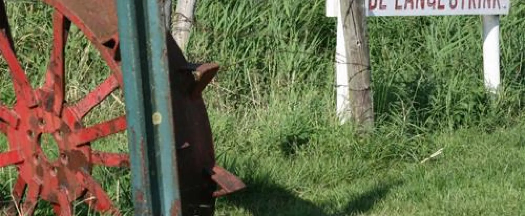 Camping De Lange Strink