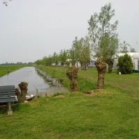 midden-op-t-landt-benschop-6ht8r