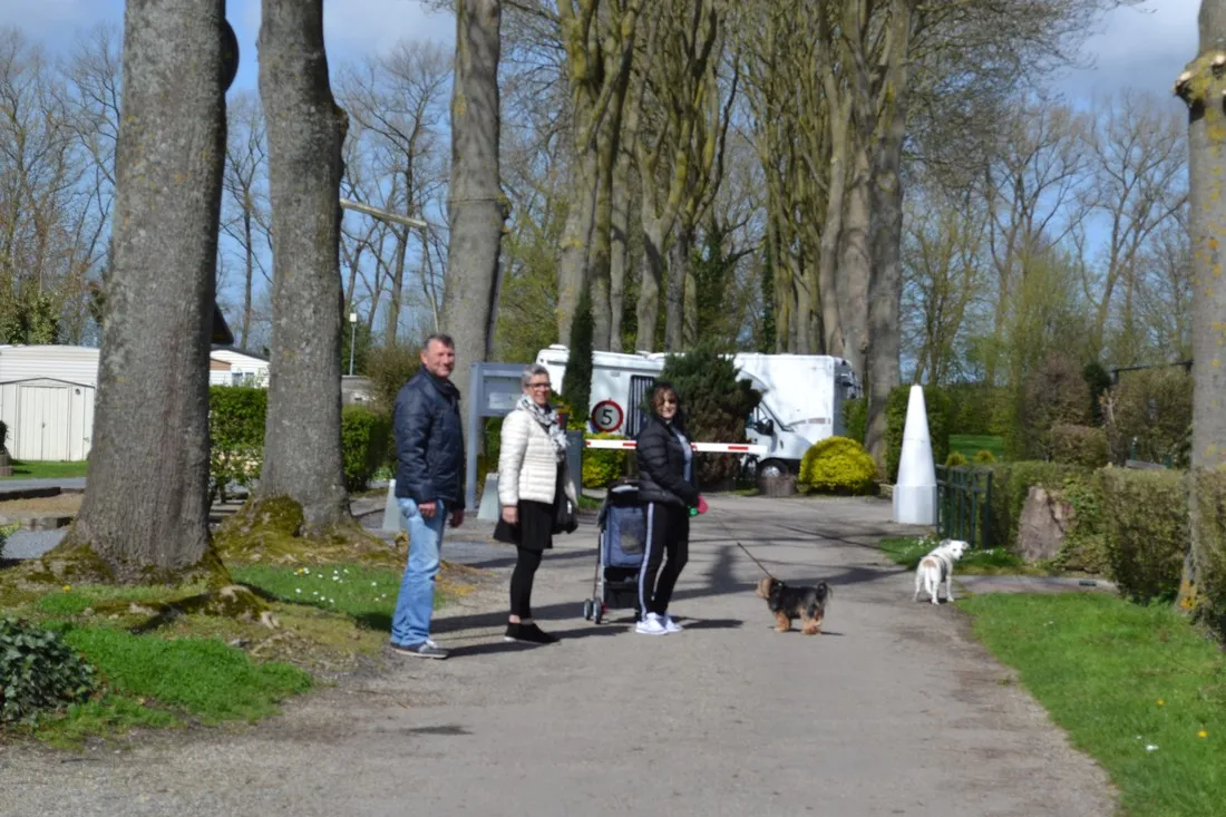 camping-de-meidoorn-sluis-vnoi7