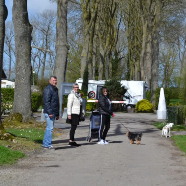 camping-de-meidoorn-sluis-vnoi7