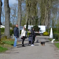 camping-de-meidoorn-sluis-vnoi7