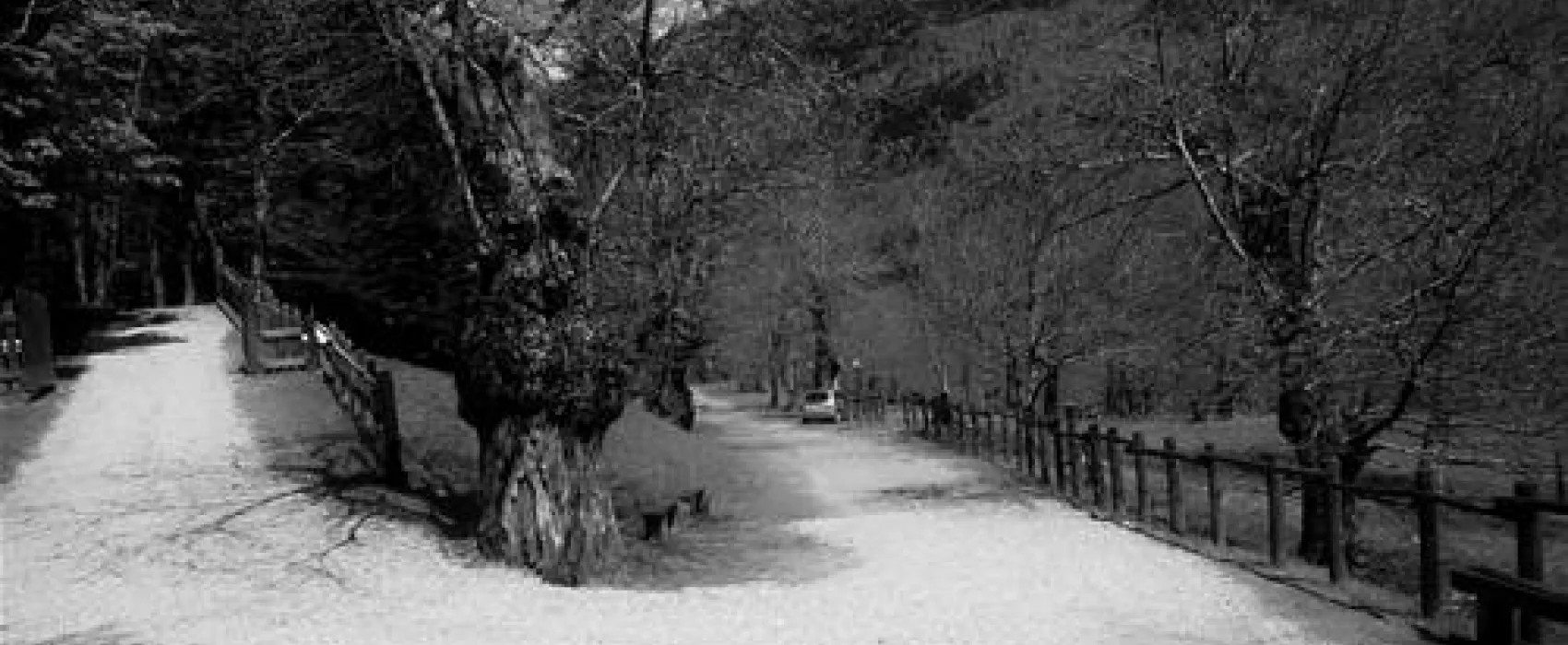 Campeggio Camaldoli