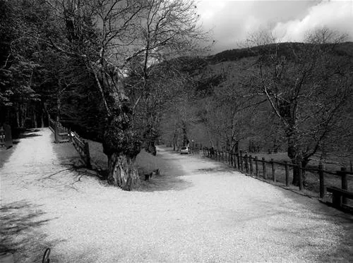 campeggio-camaldoli-camaldoli-qsszg