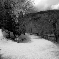 campeggio-camaldoli-camaldoli-qsszg