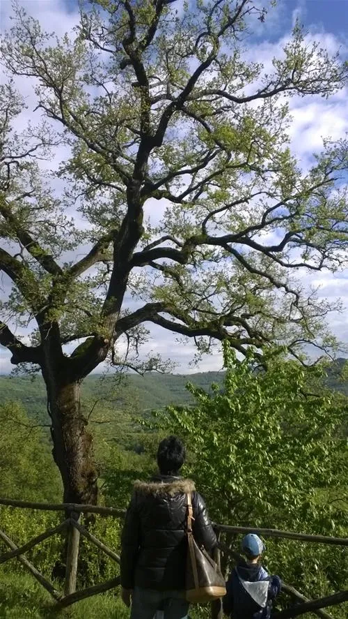 campeggio-camaldoli-camaldoli-ydhgx