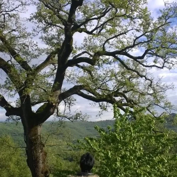 campeggio-camaldoli-camaldoli-ydhgx