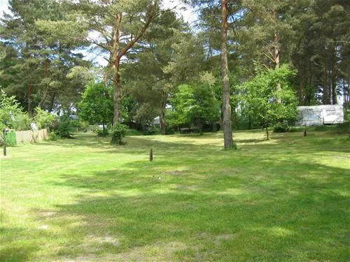 waldcamping-zethner-see-schwarz-b-mirow-z3ztf