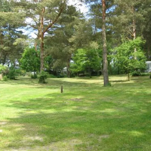 waldcamping-zethner-see-schwarz-b-mirow-z3ztf
