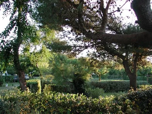 yelloh-village-le-brasilia-canet-en-roussillon-mhjex