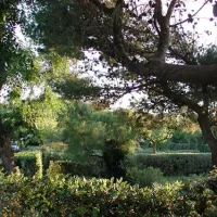 yelloh-village-le-brasilia-canet-en-roussillon-mhjex