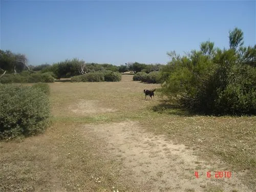 yelloh-village-le-brasilia-canet-en-roussillon-qhnxv