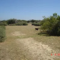 yelloh-village-le-brasilia-canet-en-roussillon-qhnxv